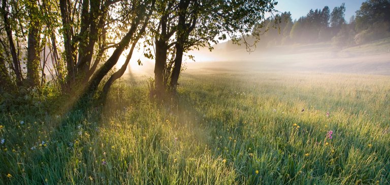 Nachhaltigkeit bei SMA - Eine bessere Zukunft gestalten