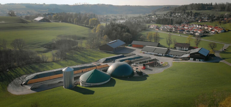 Entdecken Sie echte Erfolgsgeschichten von Unternehmen