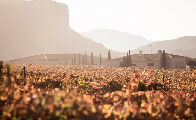 Spanischer Wein mit kleinem CO2-Fußabdruck